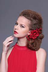 Carmen, typ 105
